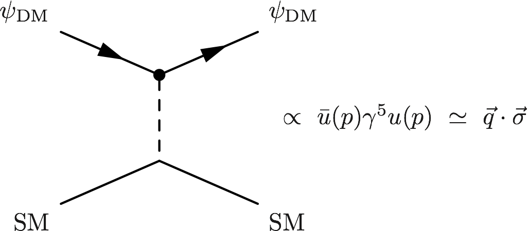 DM-scattering-with-gamma5